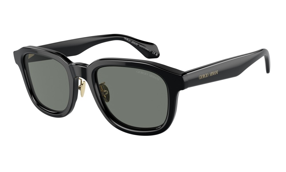 Giorgio Armani AR8206 6060/1 Giorgio Armani AR8206 6060/1
