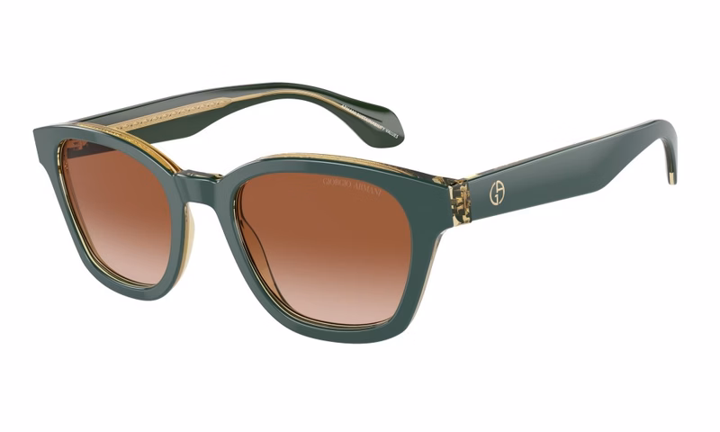 Giorgio Armani AR8207 608613 Giorgio Armani AR8207 608613