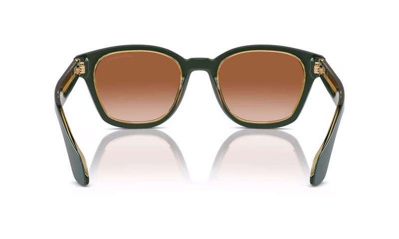 Giorgio Armani AR8207 608613 Giorgio Armani AR8207 608613