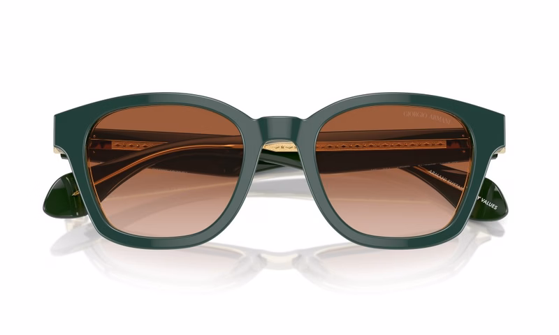 Giorgio Armani AR8207 608613 Giorgio Armani AR8207 608613
