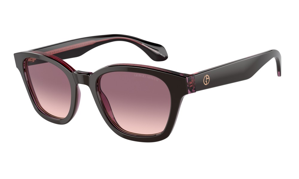 Giorgio Armani AR8207 60888D Giorgio Armani AR8207 60888D