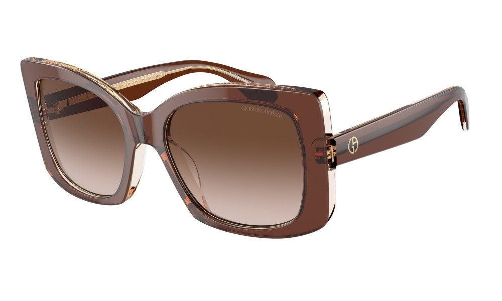 Giorgio Armani AR8208U 609013 Giorgio Armani AR8208U 609013