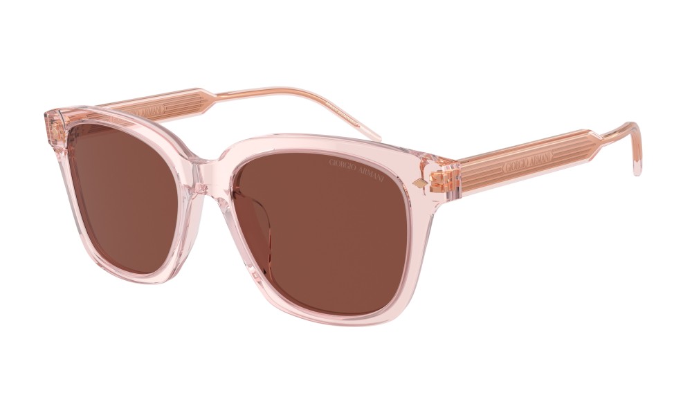 Giorgio Armani AR8210U 6073C5 Giorgio Armani AR8210U 6073C5
