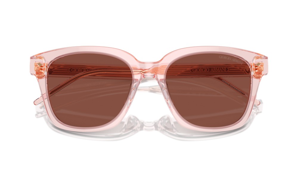 Giorgio Armani AR8210U 6073C5 Giorgio Armani AR8210U 6073C5