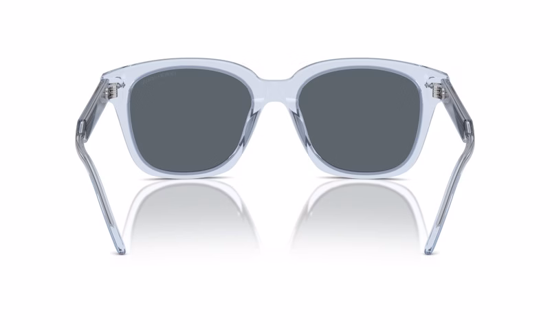 Giorgio Armani AR8210U 6081R5 Giorgio Armani AR8210U 6081R5