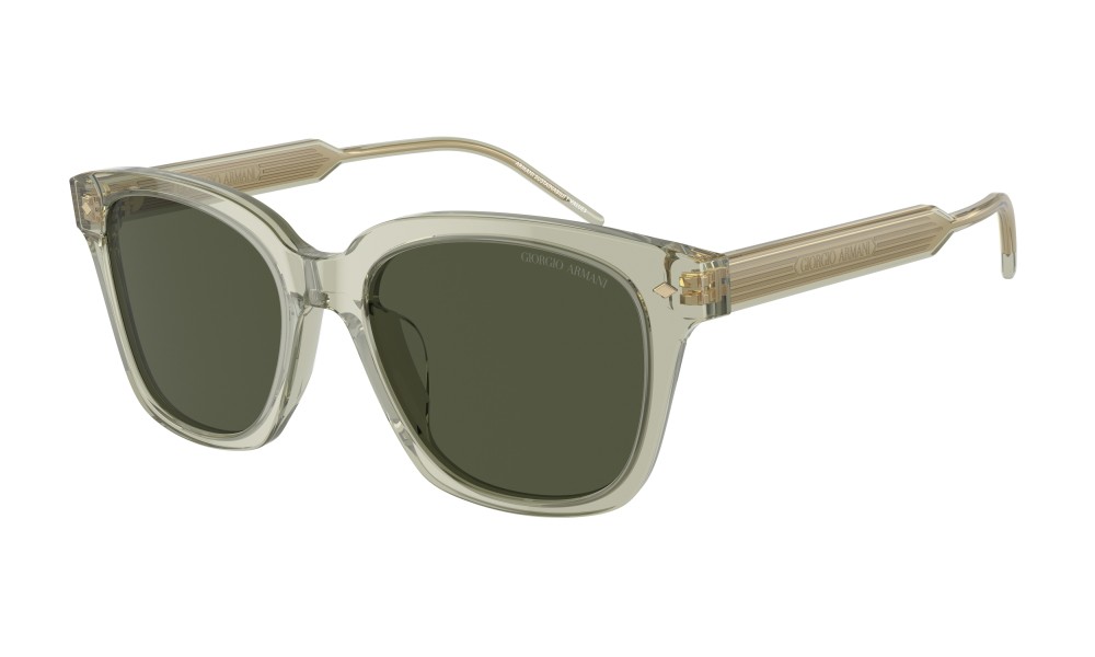 Giorgio Armani AR8210U 608331 Giorgio Armani AR8210U 608331
