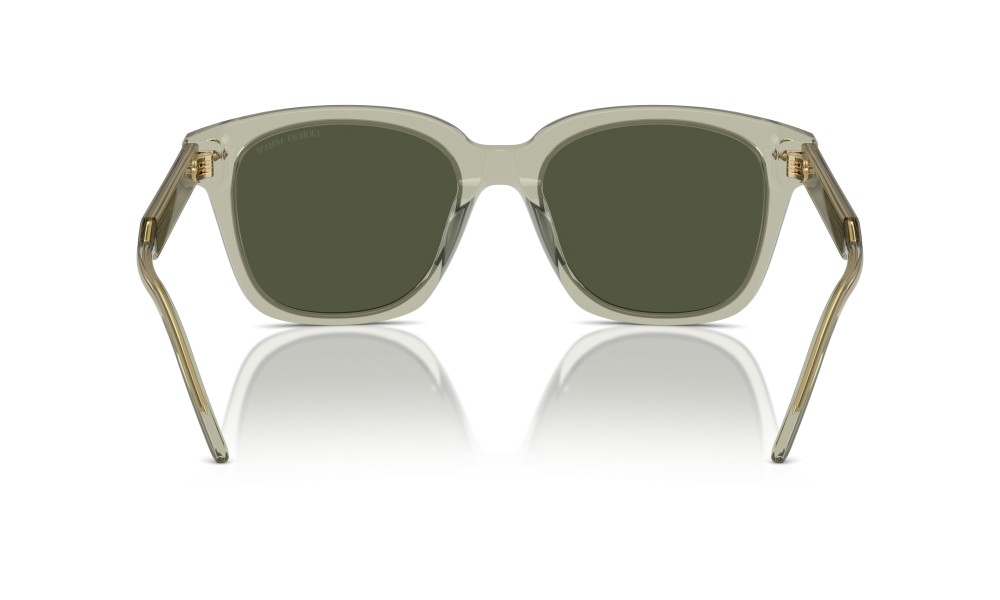 Giorgio Armani AR8210U 608331 Giorgio Armani AR8210U 608331