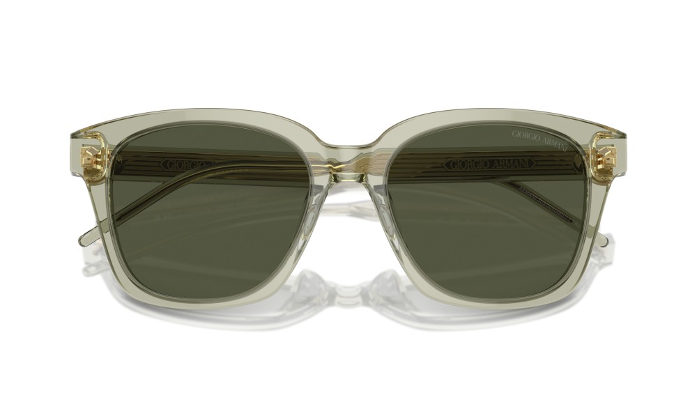 Giorgio Armani AR8210U 608331 Giorgio Armani AR8210U 608331