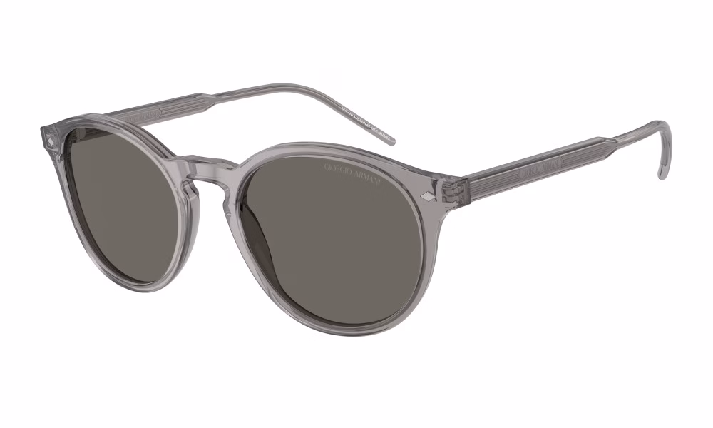 Giorgio Armani AR8211 6070R5 Giorgio Armani AR8211 6070R5