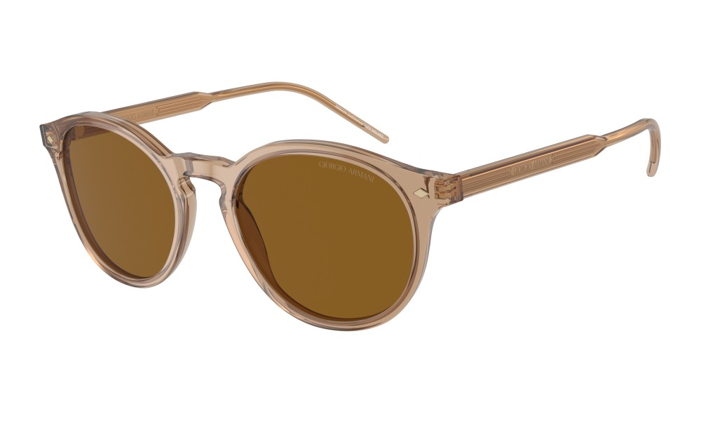 Giorgio Armani AR8211 607233 Giorgio Armani AR8211 607233