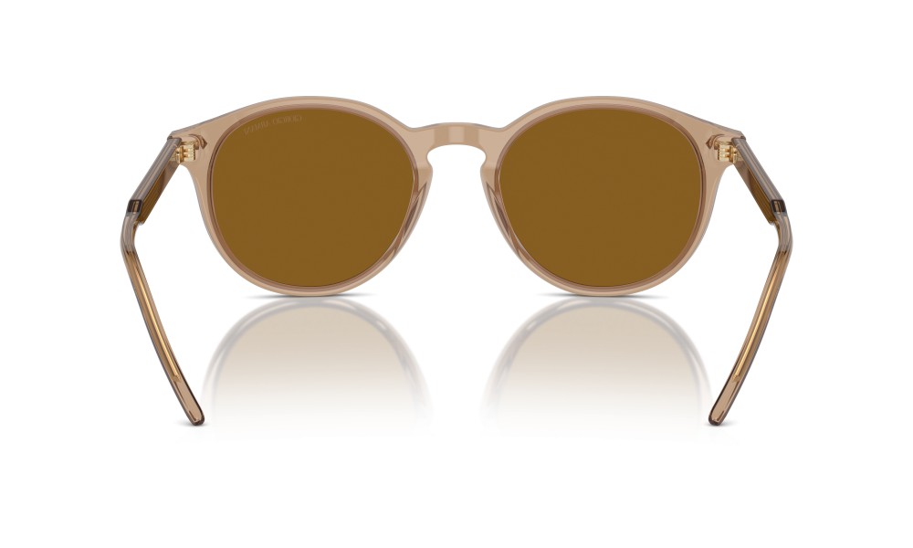 Giorgio Armani AR8211 607233 Giorgio Armani AR8211 607233