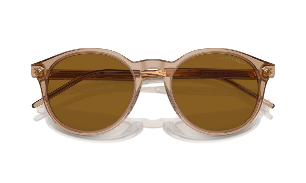 Giorgio Armani AR8211 607233 Giorgio Armani AR8211 607233