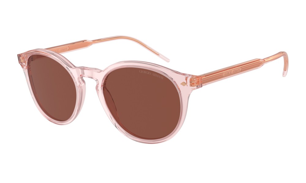 Giorgio Armani AR8211 6073C5 Giorgio Armani AR8211 6073C5
