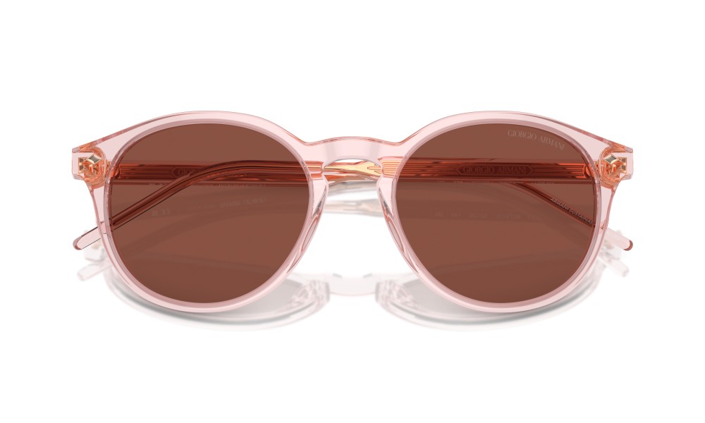 Giorgio Armani AR8211 6073C5 Giorgio Armani AR8211 6073C5