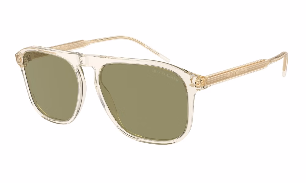 Giorgio Armani AR8212 607714 Giorgio Armani AR8212 607714