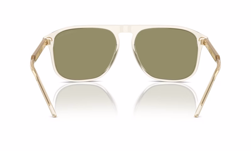 Giorgio Armani AR8212 607714 Giorgio Armani AR8212 607714