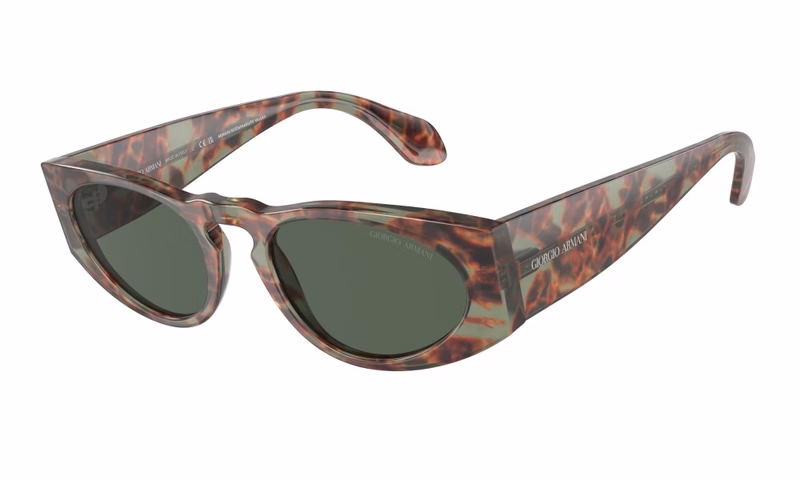 Giorgio Armani AR8216 597771 Giorgio Armani AR8216 597771