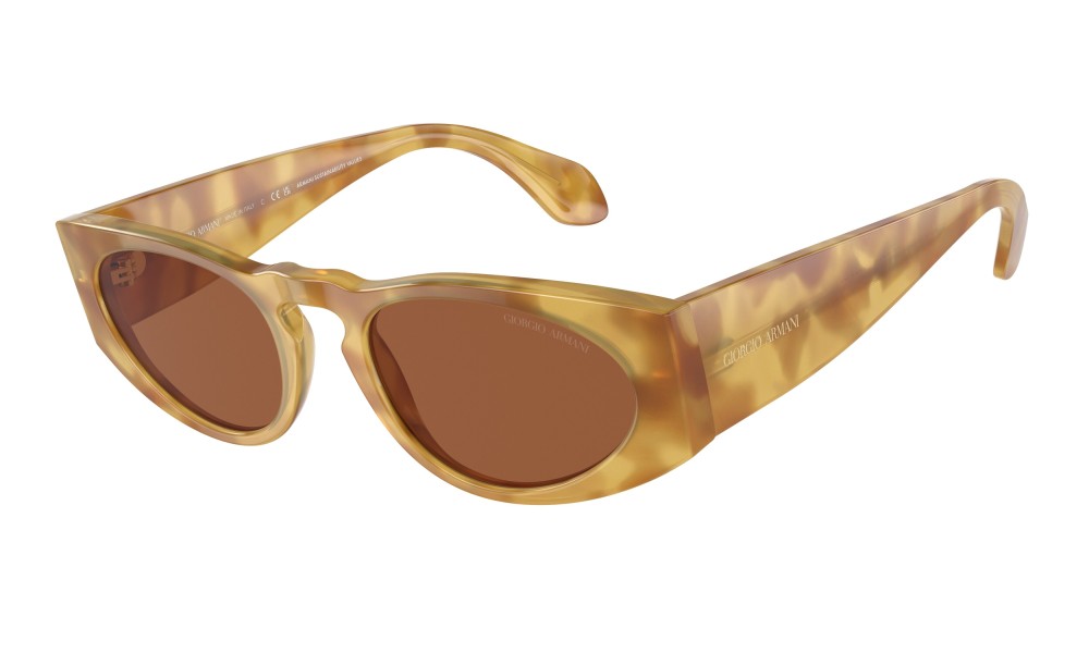 Giorgio Armani AR8216 597973 Giorgio Armani AR8216 597973