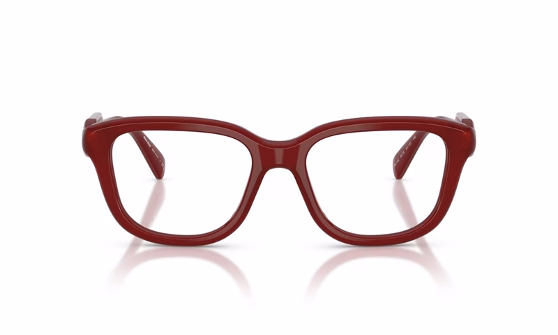 Miu Miu MU 02ZV 21I1O1 51 Miu Miu MU 02ZV 21I1O1 51