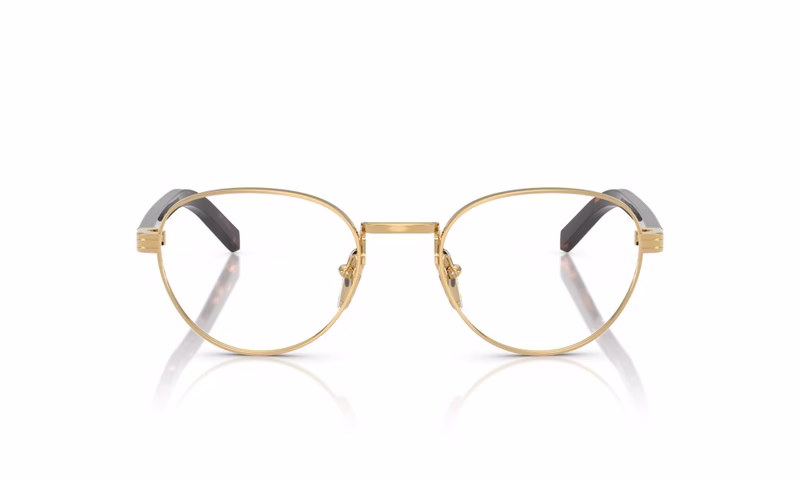 Prada PR B53V 5AK1O1 49 Prada PR B53V 5AK1O1 49