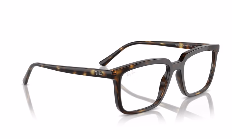 Ray-Ban Alain RX7239 2012 52 Ray-Ban Alain RX7239 2012 52