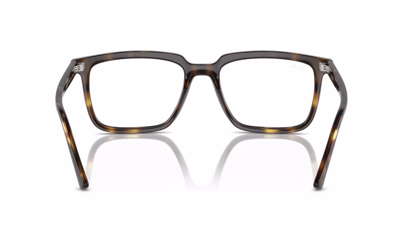 Ray-Ban Alain RX7239 2012 52 Ray-Ban Alain RX7239 2012 52