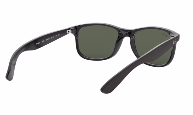 Ray-Ban Andy RB4202 606971 Ray-Ban Andy RB4202 606971