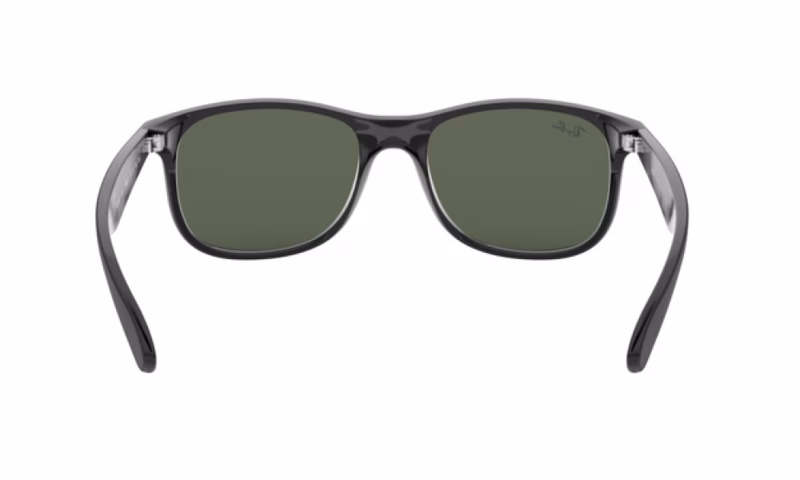 Ray-Ban Andy RB4202 606971 Ray-Ban Andy RB4202 606971