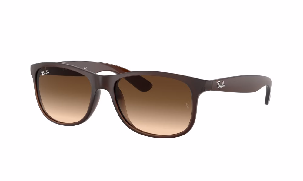 Ray-Ban Andy RB4202 607313 Ray-Ban Andy RB4202 607313