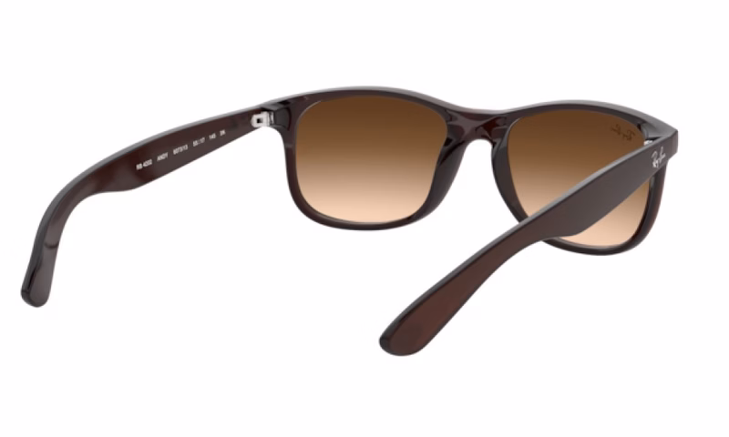 Ray-Ban Andy RB4202 607313 Ray-Ban Andy RB4202 607313