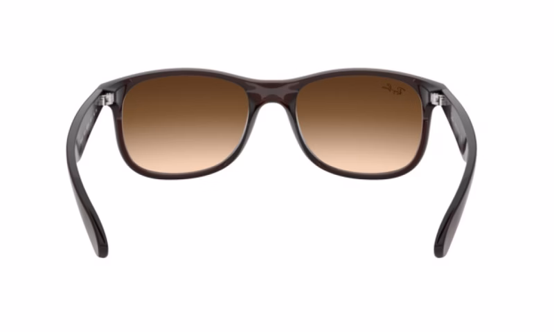 Ray-Ban Andy RB4202 607313 Ray-Ban Andy RB4202 607313
