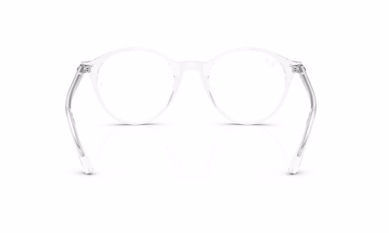 Ray-Ban Bernard RX5430 2001 49 Ray-Ban Bernard RX5430 2001 49