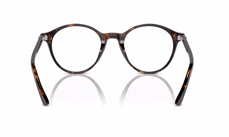 Ray-Ban Bernard RX5430 2012 49 Ray-Ban Bernard RX5430 2012 49