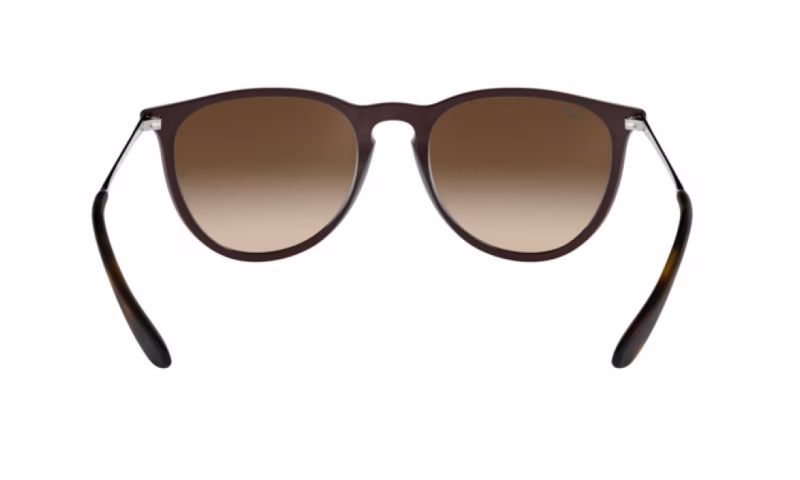 Ray-Ban Erika RB4171 631513 Ray-Ban Erika RB4171 631513
