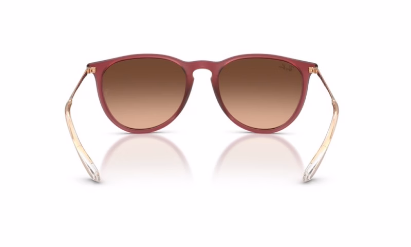 Ray-Ban Erika RB4171 6815A5 Ray-Ban Erika RB4171 6815A5