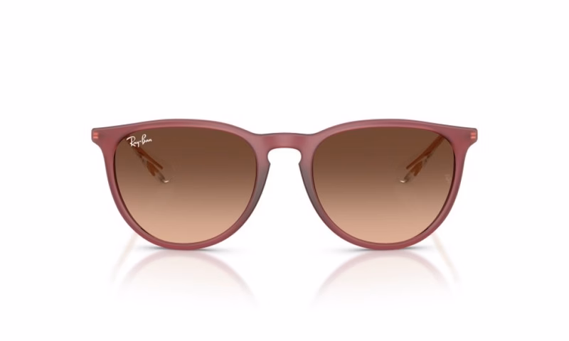 Ray-Ban Erika RB4171 6815A5 Ray-Ban Erika RB4171 6815A5