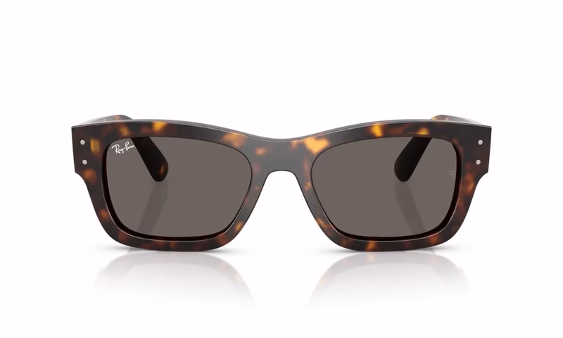 Ray-Ban Joseph RB7683S 902/B1 Ray-Ban Joseph RB7683S 902/B1