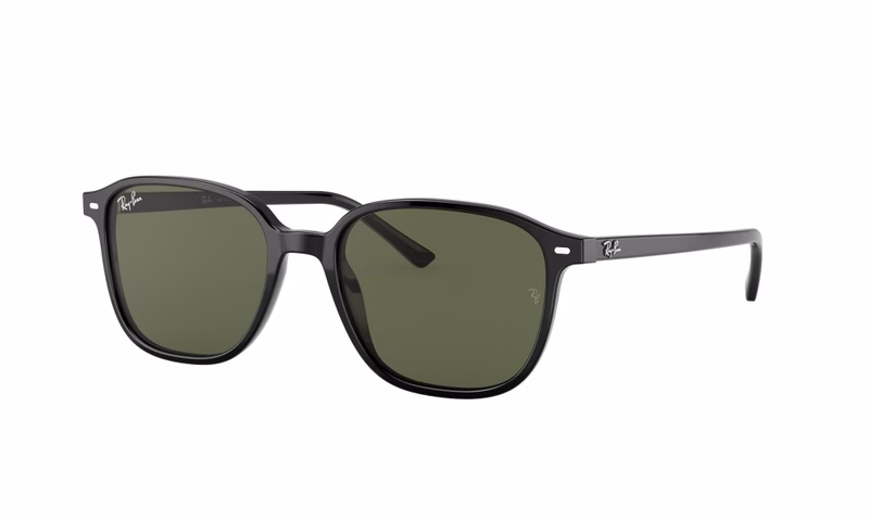 Ray-Ban Leonard RB2193 901/31 53 Ray-Ban Leonard RB2193 901/31 53