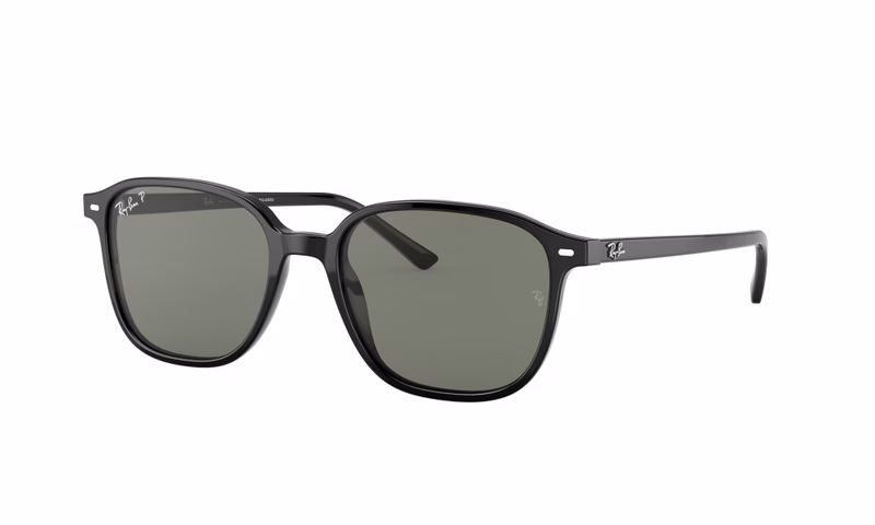 Ray-Ban Leonard RB2193 901/58 53 Ray-Ban Leonard RB2193 901/58 53