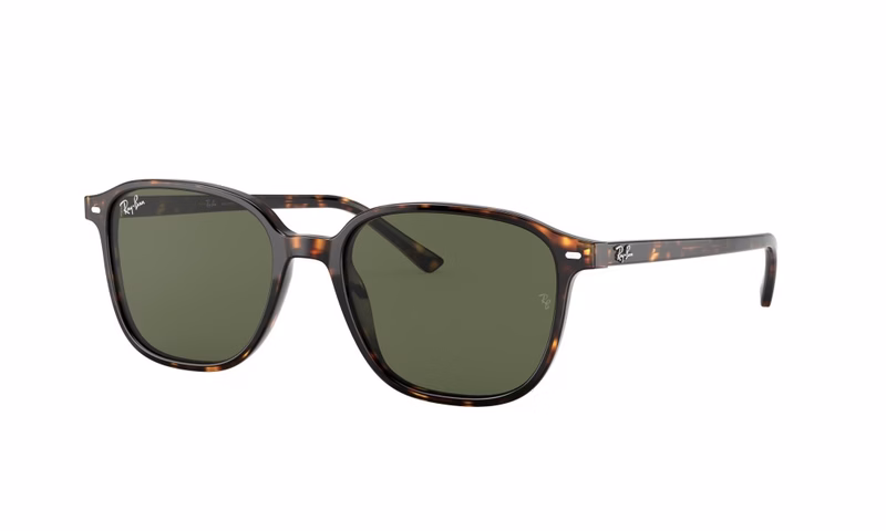 Ray-Ban Leonard RB2193 902/31 53 Ray-Ban Leonard RB2193 902/31 53