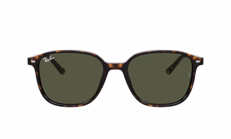 Ray-Ban Leonard RB2193 902/31 53 Ray-Ban Leonard RB2193 902/31 53