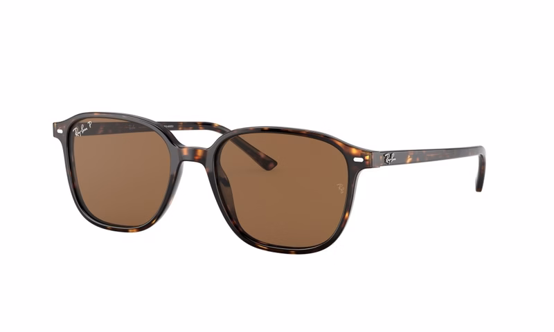 Ray-Ban Leonard RB2193 902/57 53 Ray-Ban Leonard RB2193 902/57 53