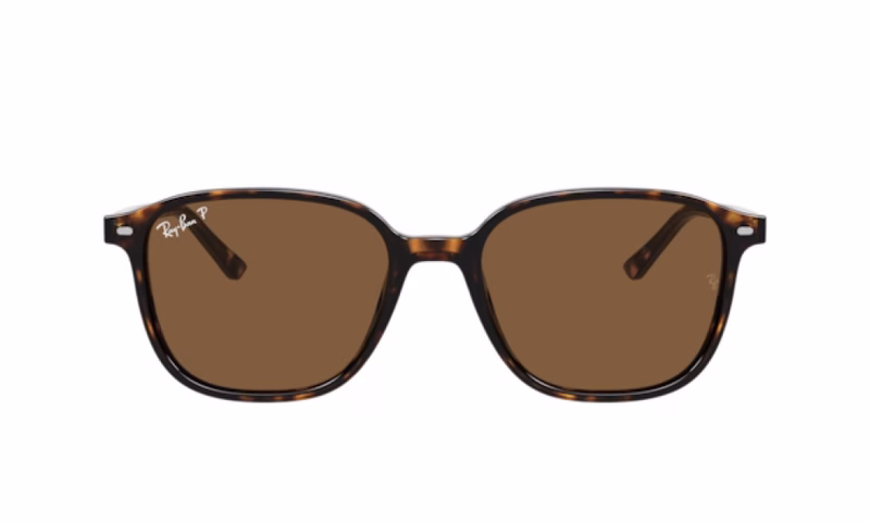 Ray-Ban Leonard RB2193 902/57 53 Ray-Ban Leonard RB2193 902/57 53