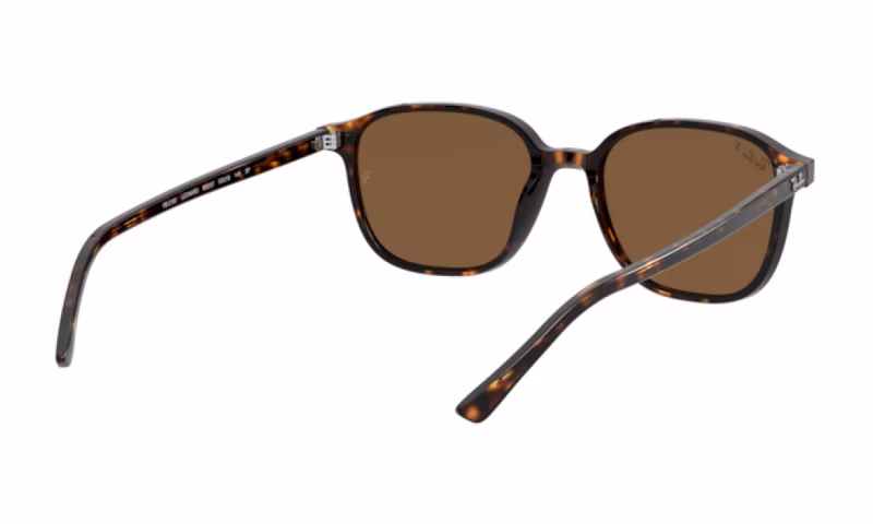 Ray-Ban Leonard RB2193 902/57 53 Ray-Ban Leonard RB2193 902/57 53