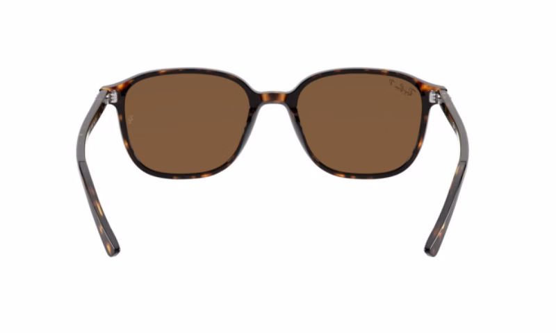 Ray-Ban Leonard RB2193 902/57 53 Ray-Ban Leonard RB2193 902/57 53