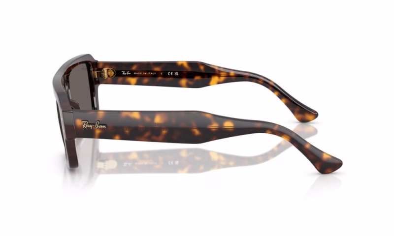 Ray-Ban Lukas RB4454 1359B1 53 Ray-Ban Lukas RB4454 1359B1 53