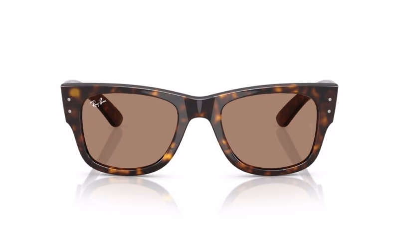 Ray-Ban Mega Wayfarer RB0840S 902/1A Ray-Ban Mega Wayfarer RB0840S 902/1A