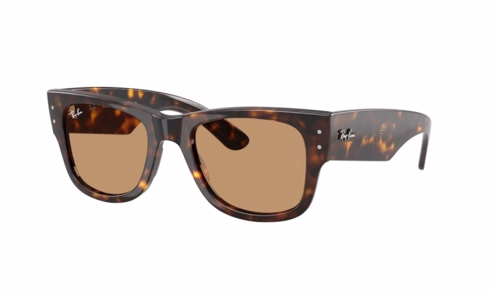 Ray-Ban Mega Wayfarer RB0840S 902/53 Ray-Ban Mega Wayfarer RB0840S 902/53
