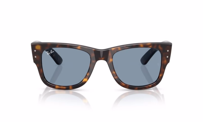 Ray-Ban Mega Wayfarer RB0840S 902/56 Ray-Ban Mega Wayfarer RB0840S 902/56