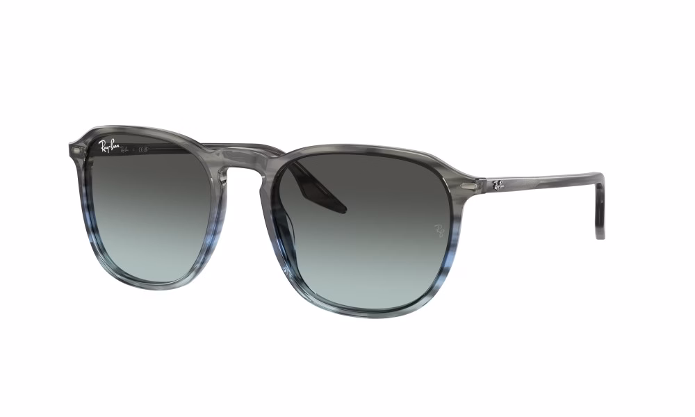 Ray-Ban RB2203 1391GK 52 Ray-Ban RB2203 1391GK 52